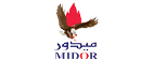 Petro Chemical client logo