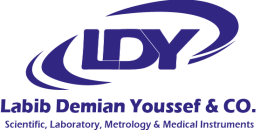 Main-Logo-LDY